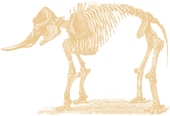 Mastadon at the American Philosophical Society mastadon